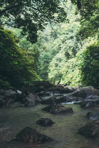 Montanha paisagem do rio, ilha de Bali, Indonésia. Perto da cachoeira Sekumpul . — Fotografia de Stock