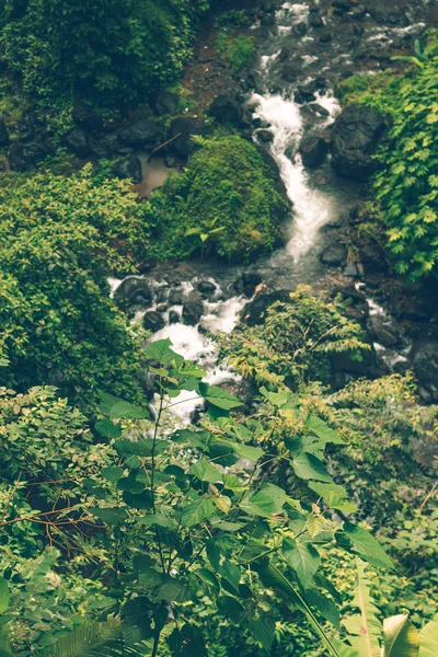 Dağ nehir manzarası, Bali Adası, Endonezya. Şelale Sekumpul kapatın. — Stok fotoğraf