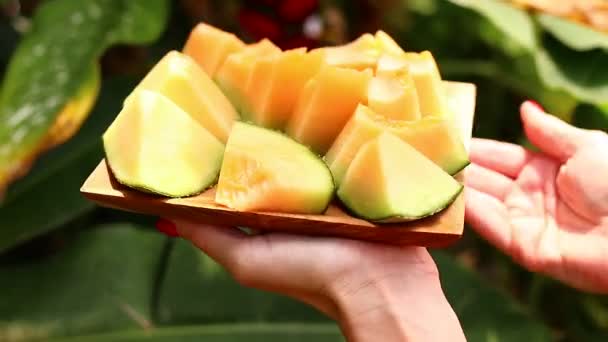 Women hands with melon in a wooden bowl. Tropical background. — Stock Video