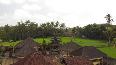 4k hava video pirinç tarlaları arasında Bali Tapınağı uçan. Bali tropikal ada. Güzel Tapınağı.
