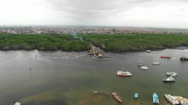 Endonezya 'daki Bali adasındaki mangrovların hava görüntüsü. Serangan Adası.