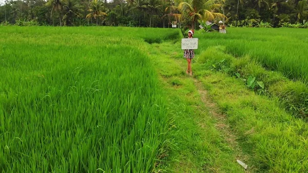 Bonne année 2019. Vidéo de drone volant 4K de jeune femme avec chapeau de Père Noël et tableau blanc avec texte manuscrit posant parmi les rizières vertes sur l'île de Bali . — Photo