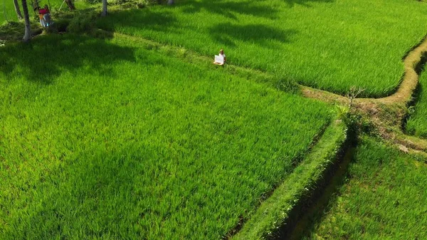 야외에서 화이트 보드 및 필기 단어와 열 대에 젊은 여자. 무인 항공기 비행 영상입니다. 녹색 밝은 열 대의 배경. 아름 다운 열 대 여행 개념입니다. 발리 섬. — 스톡 사진