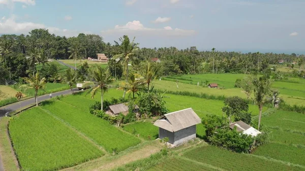4К видео полета зеленых рисовых полей рядом с вулканом Агунг, остров Бали . — стоковое фото