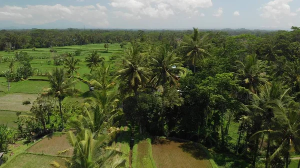 4 k hava manzara güzel tropikal peyzaj. Bali Adası. — Stok fotoğraf