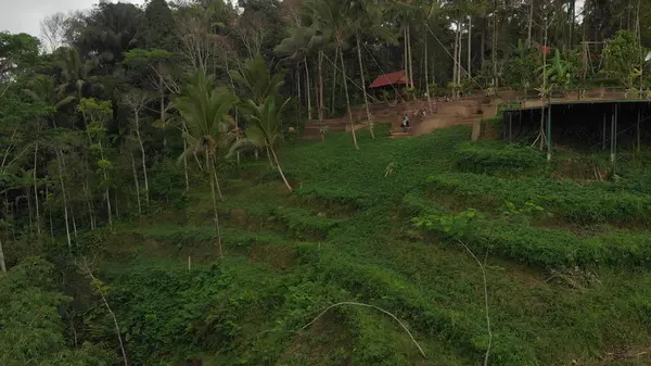 Bali, Indonésie - 20 září 2018: Žena na houpačce v hlubokých deštných pralesů ostrova. 4 k letecké dron záběry. — Stock fotografie