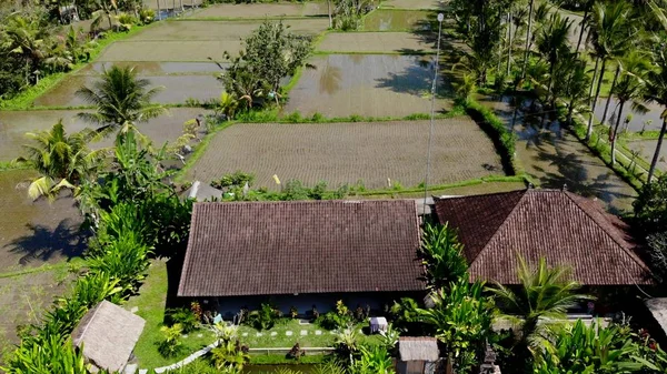 BALI, INDONESIA - 10 DE SEPTIEMBRE DE 2018: Vídeo de un dron aéreo de 4K de una villa de lujo con hermosas vistas en una terraza de arroz . —  Fotos de Stock