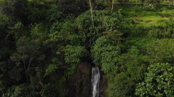 Şelale orman Bali Adası'nın muhteşem görünümünün hava dron fotoğraf. Yağmur ormanlarında günbatımı zamanı. — Stok fotoğraf