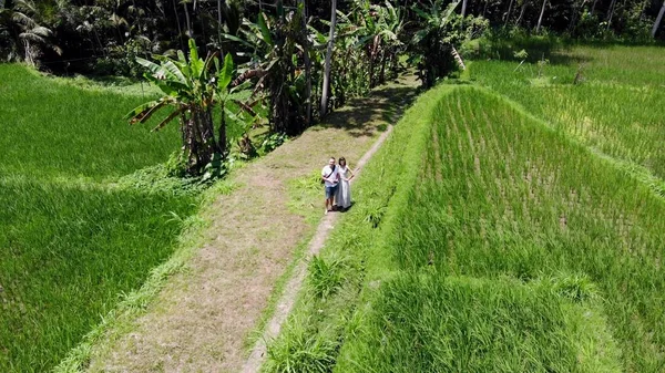 Drone aéreo de 4K de pareja lanzando dron en arrozales arrozales en la isla de Bali . — Foto de Stock