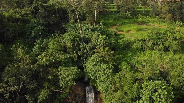 空中无人机照片的瀑布在巴厘岛的丛林惊人的看法。热带雨林中的日落时间. — 图库照片