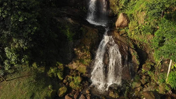 Şelale orman Bali Adası'nın muhteşem görünümünün hava dron fotoğraf. Yağmur ormanlarında günbatımı zamanı. — Stok fotoğraf