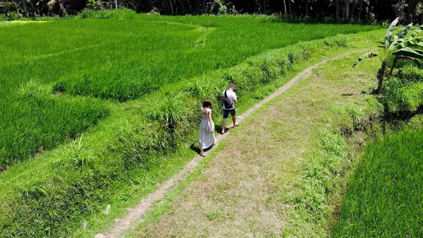 4K Aerial drone disparo de turistas de vacaciones caminando por el camino en arrozales arrozales campos de terraza en la isla de Bali . — Foto de Stock