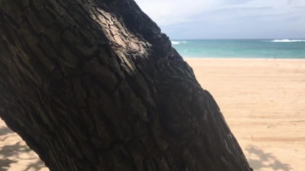 Praia tropical da ilha de Bali, Indonésia. Nusa Dua . — Vídeo de Stock