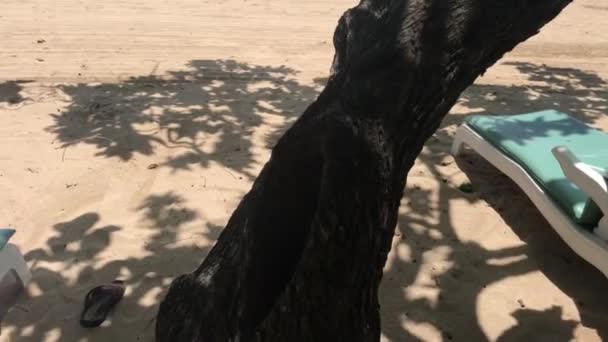 Tropischer strand der insel bali, indonesien. nusa dua. — Stockvideo