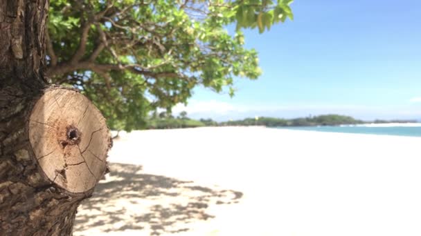 Tropischer strand der insel bali, indonesien. nusa dua. — Stockvideo