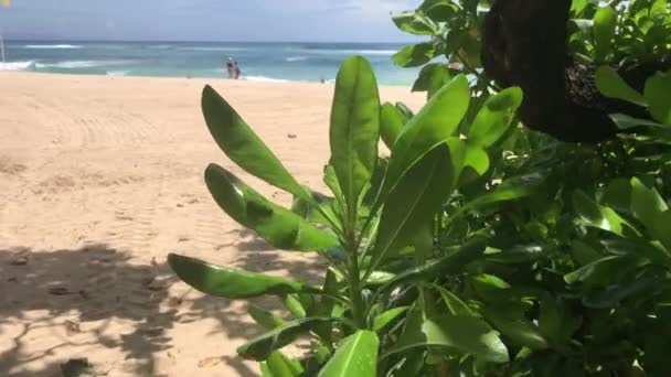 Plage tropicale de Bali île, Indonésie. Nusa Dua .