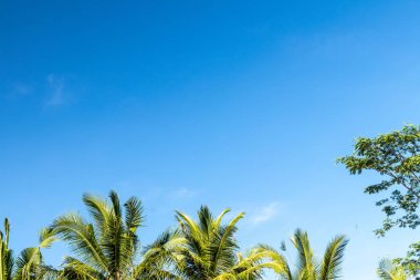 Mavi parlak tropikal gökyüzü arka plan. Güneşli bir gün. Bali Adası, Endonezya.