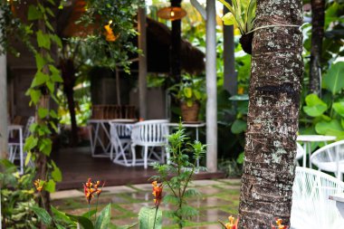 Tropikal Restoran İç Bali Adası, Endonezya.