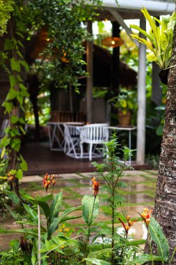 Tropikal Restoran İç Bali Adası, Endonezya.