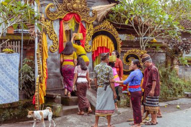 Bali, Endonezya - 2 Ocak 2019: Geleneksel Bali düğün töreninde insanlar.