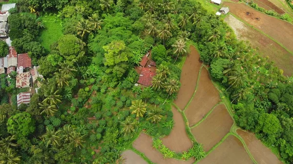 Repül át a terasz rizsföldek, a zöld 4 k drone felvételeket. Bali szigetén, Indonézia. — ingyenes stock fotók