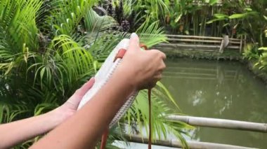 Stylich Eko dostu rattan çanta tropikal bir arka plan üzerinde kadın elle. Bali Adası. Endonezya.