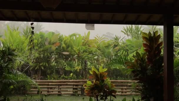 Lluvia tropical, vista desde la villa. Ubud. Isla de Bali, Indonesia. Gotas de lluvia, plantas tropicales . — Vídeo de stock
