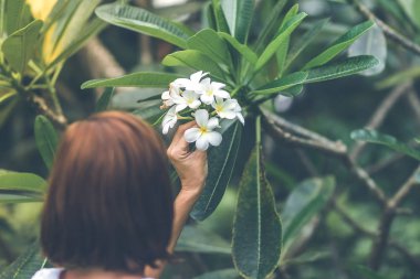 Genç kadın görünümünde nadir bir çiçek frangipani yeşil park Bali adasında kendiniyoluyor.
