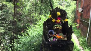 Bali dili hindu sunak Tanrılar için geleneksel teklifleri ile. Bali, Endonezya'nın tropik ada.