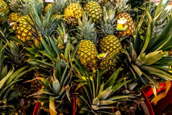 Pile pineapple fruit which has been harvested and display for sale on farmers table in market. — Stock Photo, Image