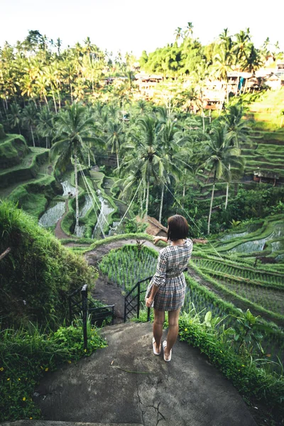 Mujer joven caminando en el campo de arroz Tegalalang, Ubud, isla tropical de Bali, Indonesia . — Foto de Stock