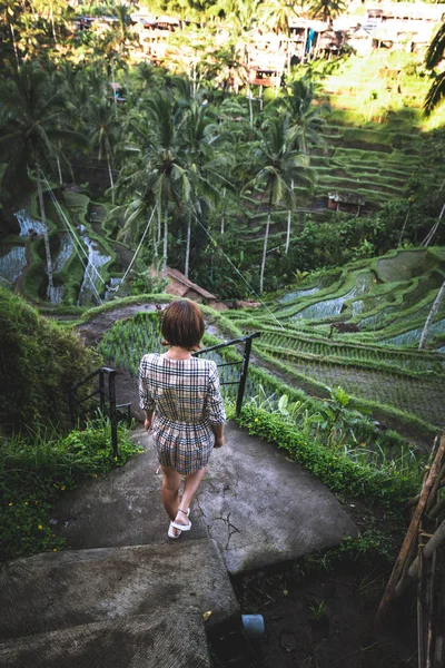 Mujer joven caminando en el campo de arroz Tegalalang, Ubud, isla tropical de Bali, Indonesia . — Foto de Stock