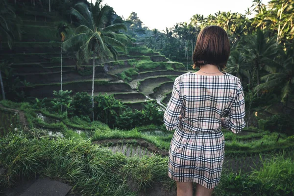 Mujer joven caminando en el campo de arroz Tegalalang, Ubud, isla tropical de Bali, Indonesia . — Foto de Stock