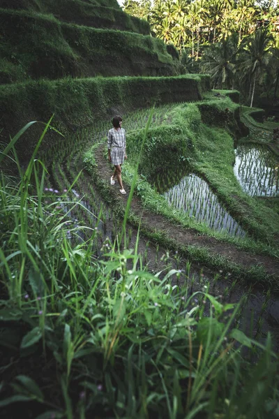 Mujer joven caminando en el campo de arroz Tegalalang, Ubud, isla tropical de Bali, Indonesia . — Foto de Stock