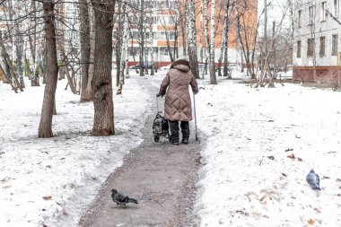 Yaşlı kadın ve güvercinler kış zaman meydanında. Emeklilik kavramı.