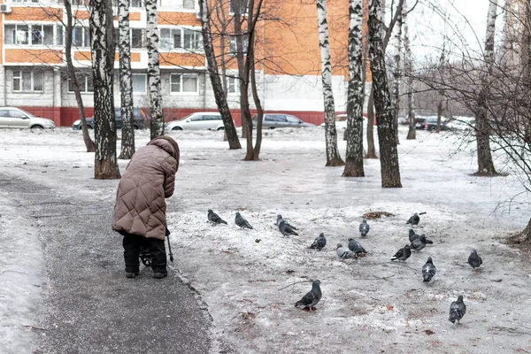 Alte Frau und Tauben auf dem Platz zur Winterzeit. Rentenkonzept. — Stockfoto