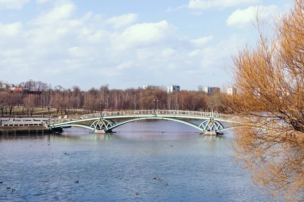 가에 호수에 아름 다운 다리입니다. Caricino 공원, 모스크바, 러시아. — 스톡 사진