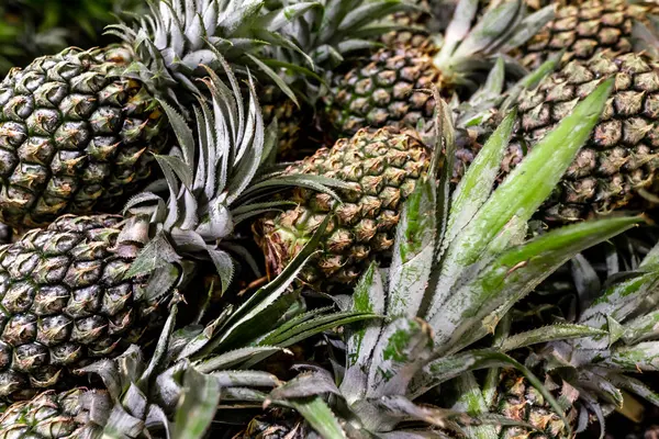 Ripe pineapples. Outdoor food market. Juicy tropical fruits. Healthy organic food. Bali island. — Stock Photo, Image