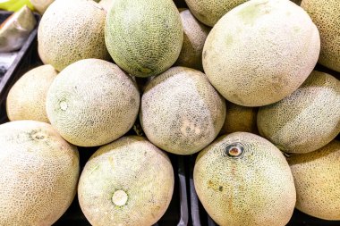 Birçok kavun kadar kapatın. Yaz tepsi Pazar Tarım Çiftlik organik meyve dolu. Sağlıklı beslenme.