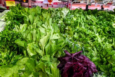 Organik sebze. Taze sebze. Marul bir salata çatalı. Salata arka plan.