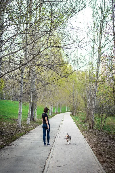 Γυναίκα με το χαριτωμένο θηλυκό κυνηγόσκυλο στο πάρκο. Μόσχα. — Φωτογραφία Αρχείου