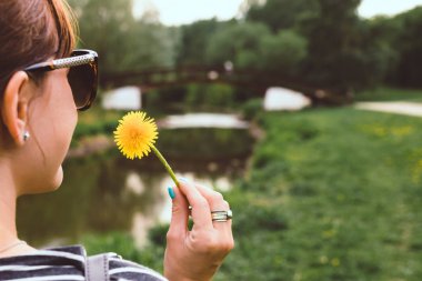 Güneşli yaz parkında sarı karahindiba ile genç güzel kadın.
