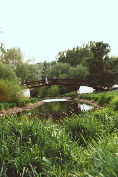 Ponte romântica no parque de verão verde . — Fotografia de Stock