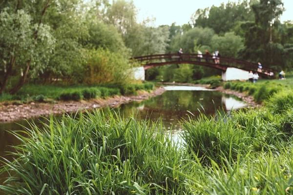 Romantische brug in het groene zomer Park. — Stockfoto