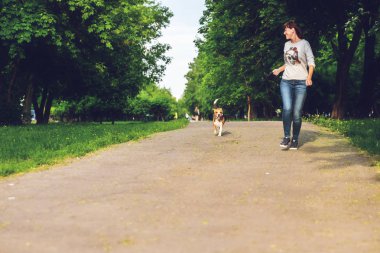 Kız yaz zamanında parkta onu sevimli kadın Beagle köpek ile çalışan. Yaşam tarzı fotoğraf.