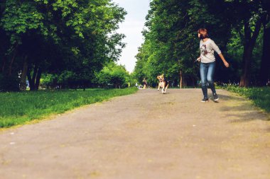 Kız yaz zamanında parkta onu sevimli kadın Beagle köpek ile çalışan. Yaşam tarzı fotoğraf.