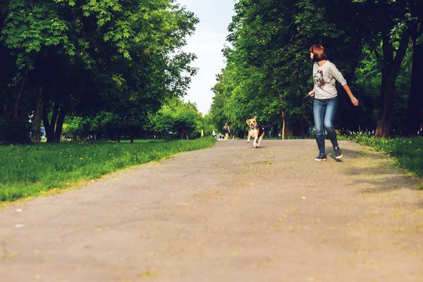 Κορίτσι τρέχει με το χαριτωμένο θηλυκό κυνηγόσκυλο σκυλάκι της στο πάρκο τη θερινή ώρα. Lifestyle φωτογραφία. — Φωτογραφία Αρχείου