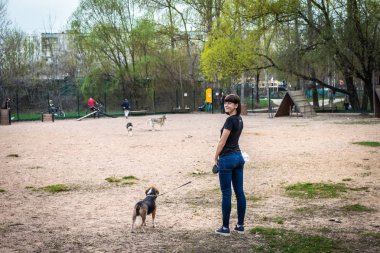 Kadın doğa arka plan onu sevimli kadın beagle köpek eğitim.
