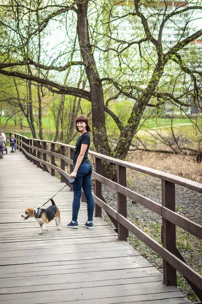 Γυναίκα με το χαριτωμένο θηλυκό κυνηγόσκυλο στο πάρκο. Μόσχα. — Φωτογραφία Αρχείου