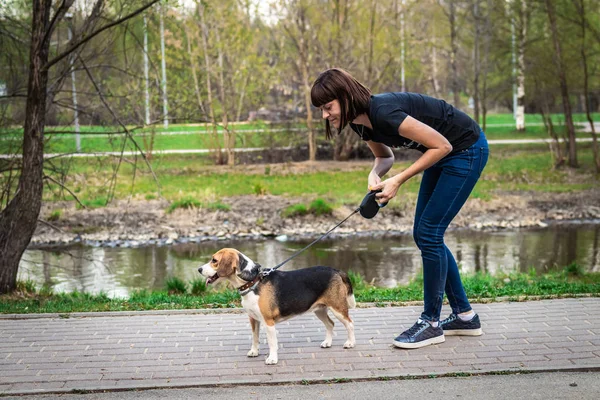 Γυναίκα εκπαιδεύση χαριτωμένο θηλυκό κυνηγόσκυλο σκυλάκι της στο φόντο της φύσης. — Φωτογραφία Αρχείου